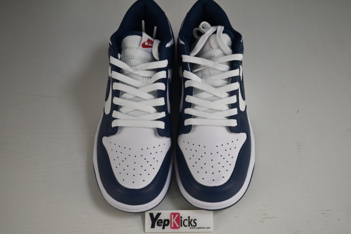 nike dunk low valerian blue dd1391-400