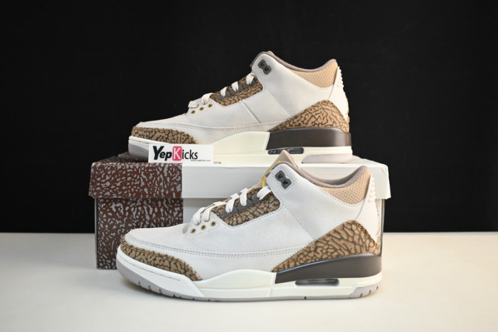 air jordan 3 “palomino” ct8532-102