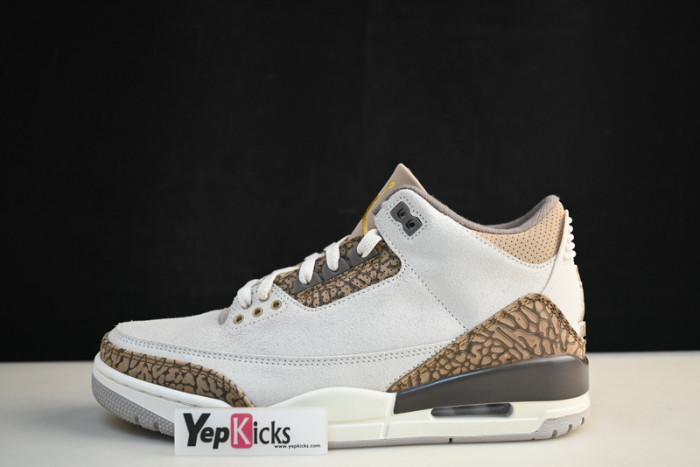 air jordan 3 “palomino” ct8532-102