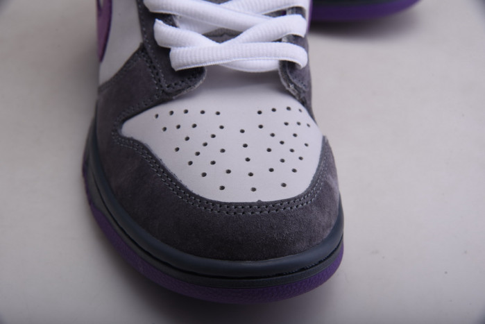dunk sb low purple pigeon 304292-051