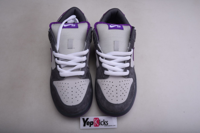 dunk sb low purple pigeon 304292-051