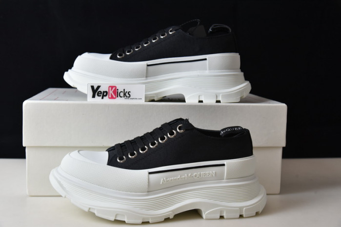 alexander mcqueen e2543