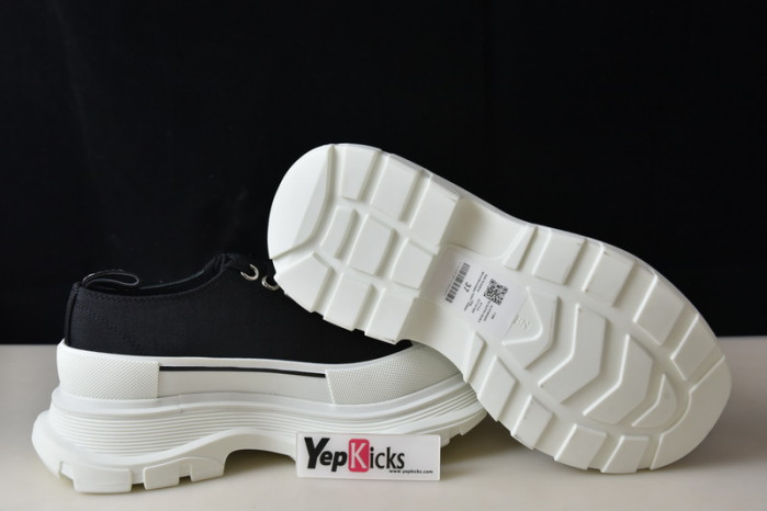 alexander mcqueen e2543