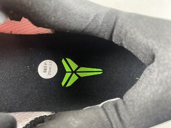 zoom kobe pe2023-102