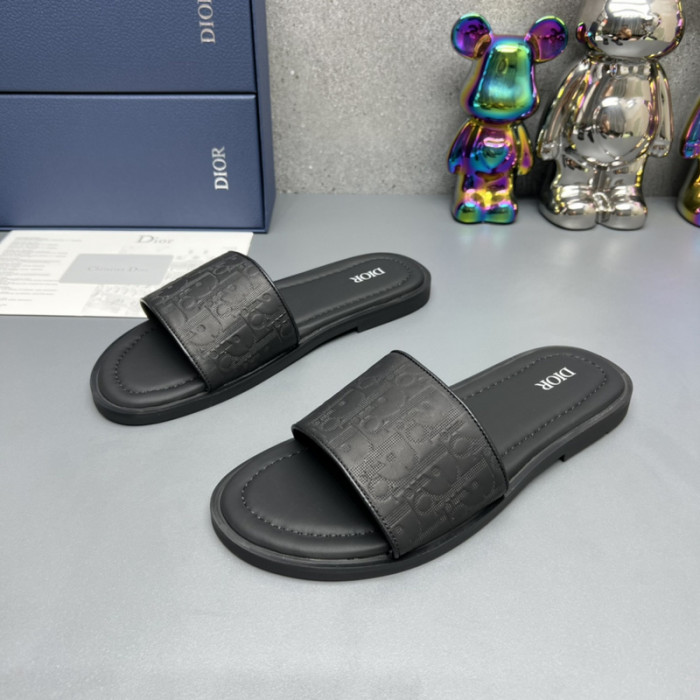 D*or slides d0309
