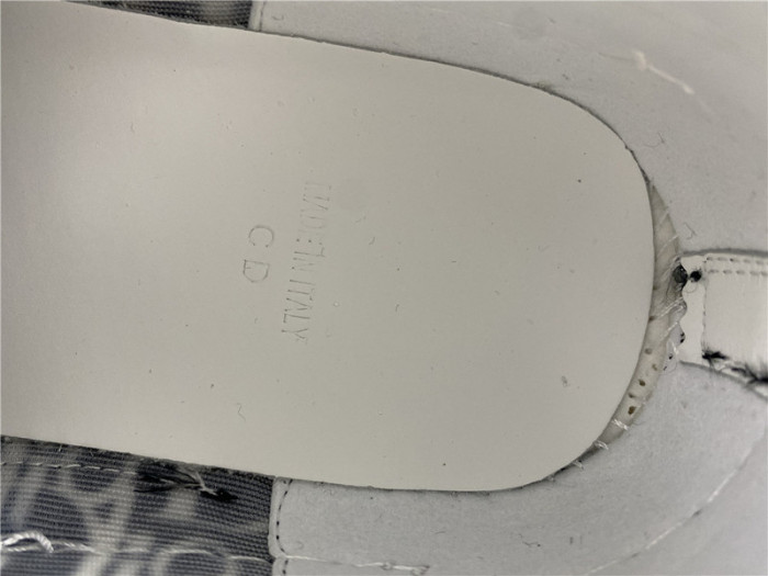 D*or b23 oblique low top sneaker t00853h056