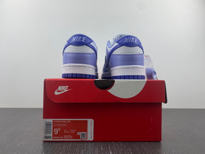 nike dunk low blueberry dz4456-100