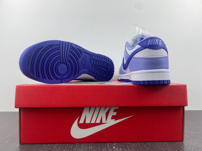 nike dunk low blueberry dz4456-100